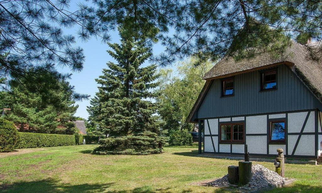 Haus Schilfkante - Wohnung 2 Wieck Eksteriør bilde