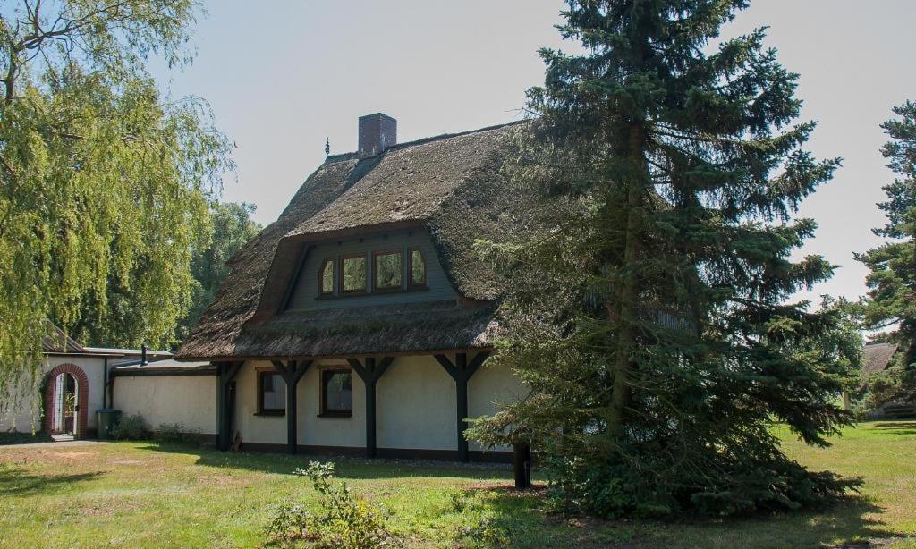 Haus Schilfkante - Wohnung 2 Wieck Eksteriør bilde